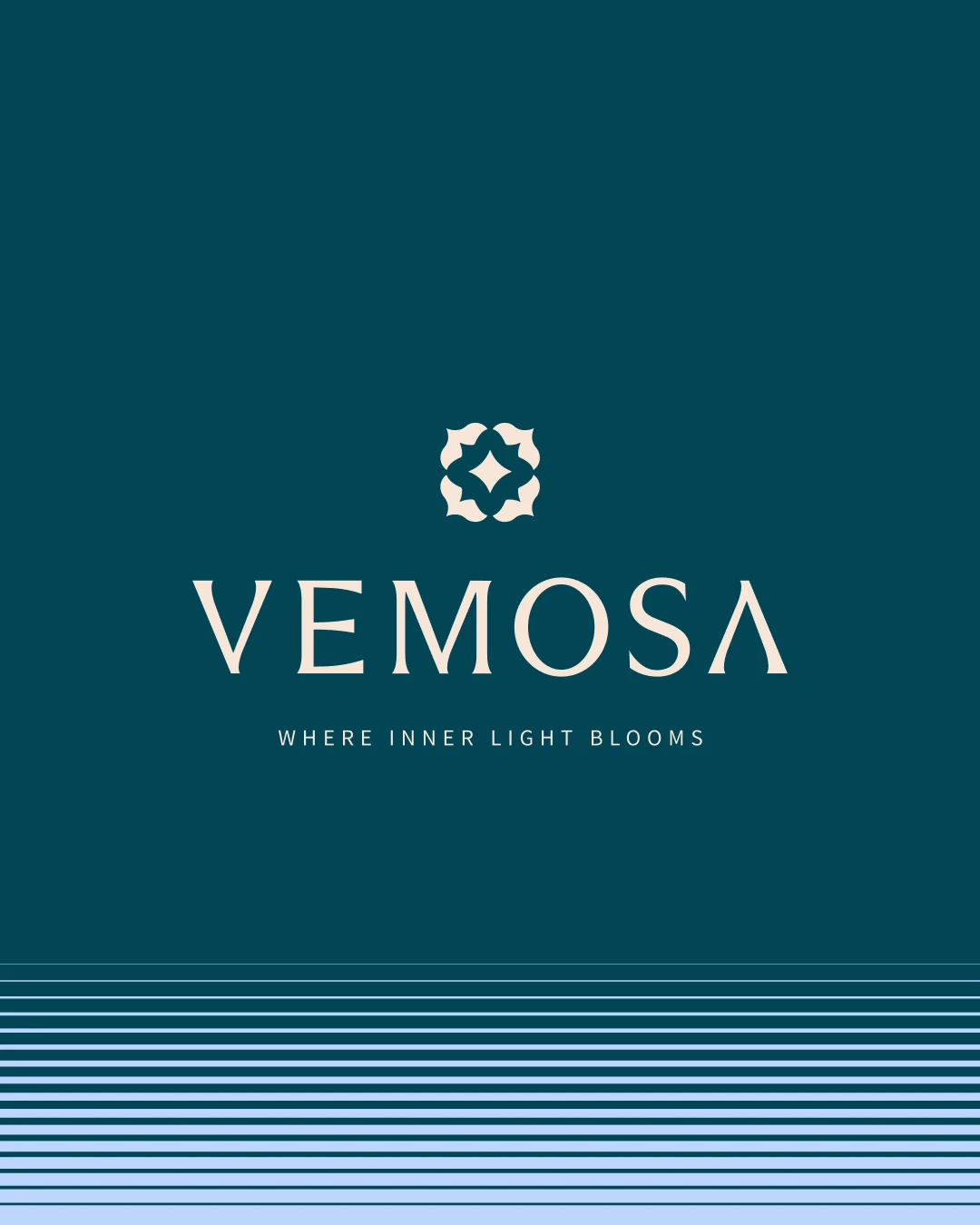 Hermosa × Vemosa|品牌識別設計