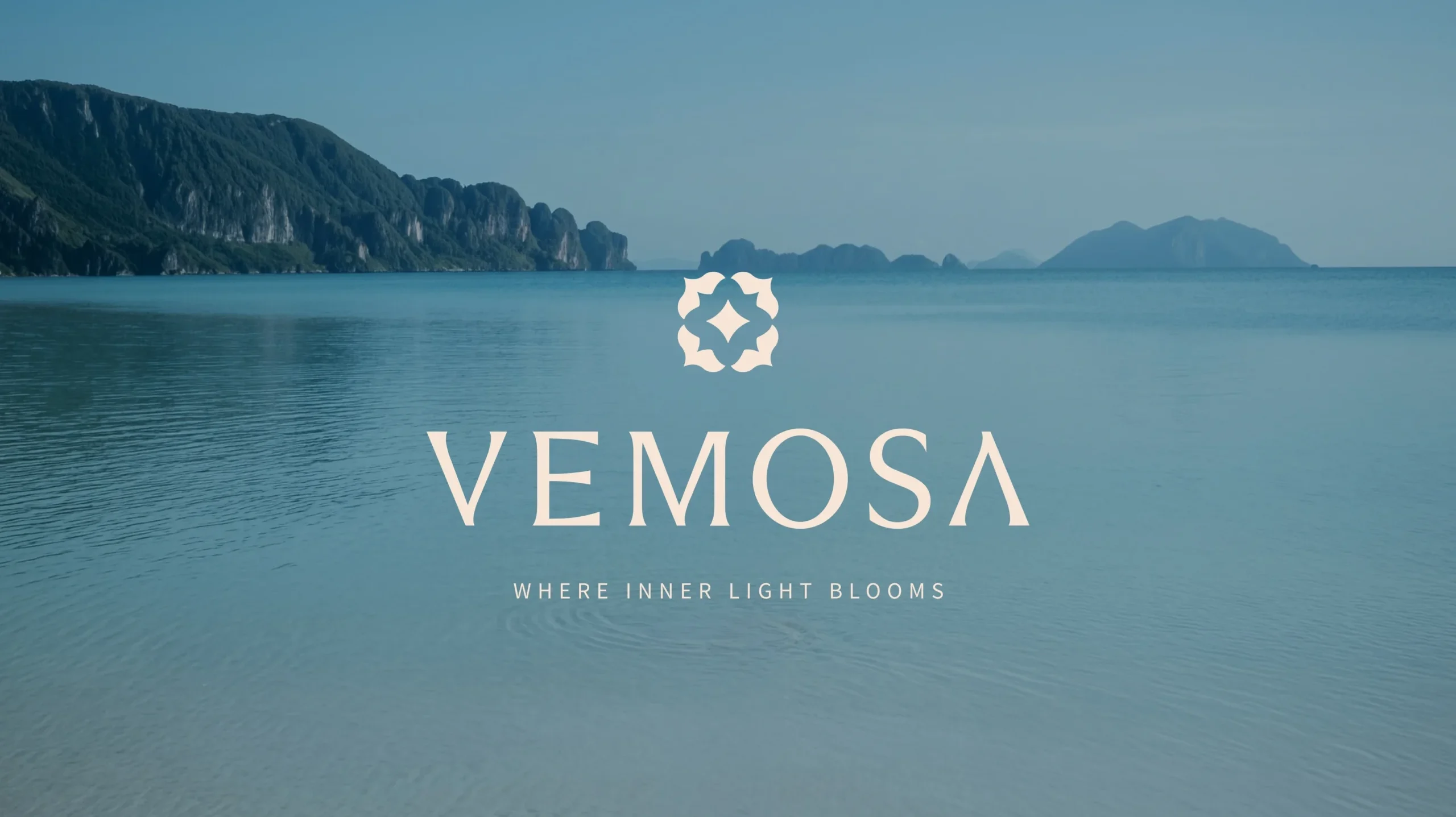 Hermosa × Vemosa|品牌識別設計